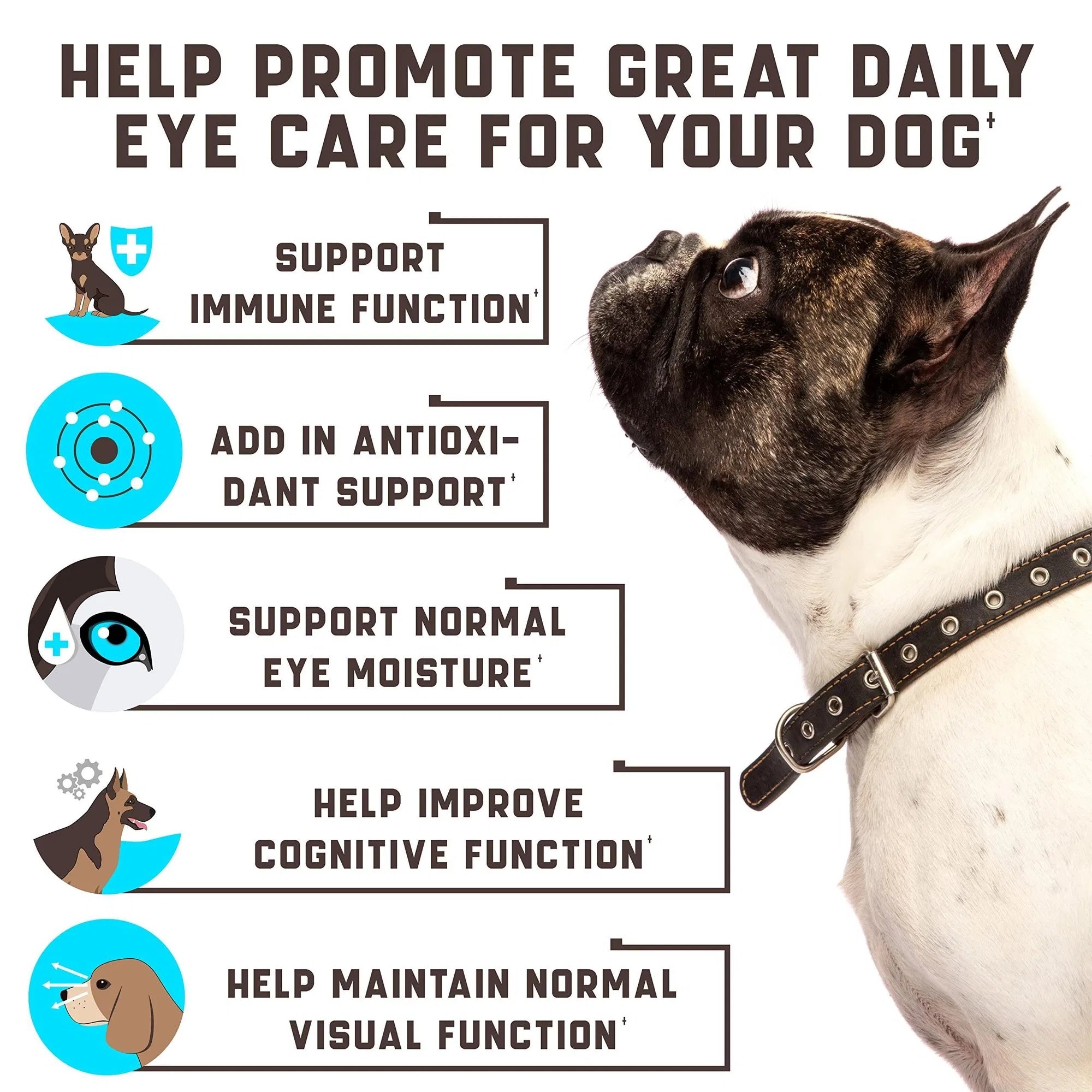 Eye Vitamins for Dogs – Vision & Eye Care Supplement with Tear Stain Support and Immune Boost