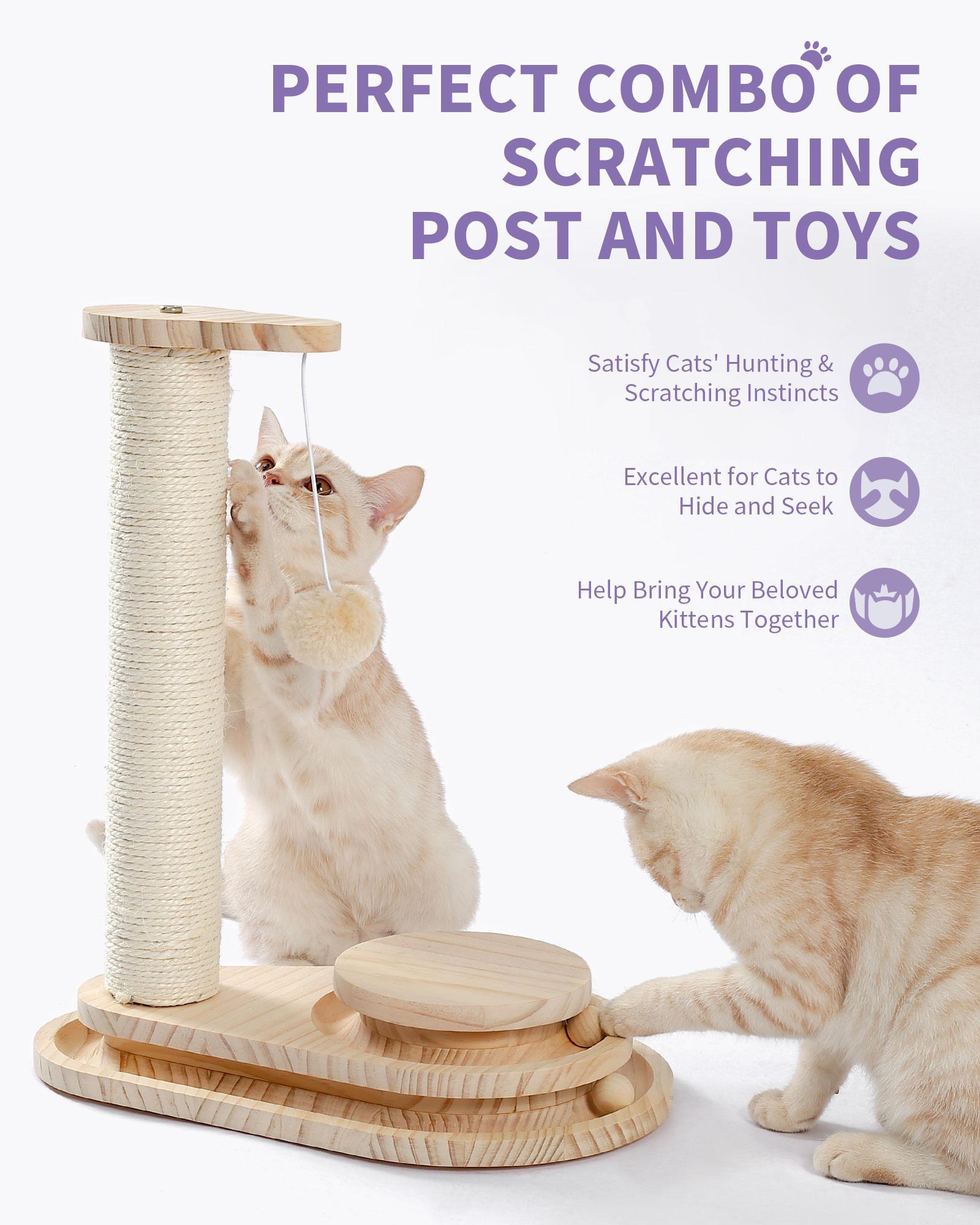 Indoor Cat Soft Scratching Board & Interactive Ball Track Toy – Cloud-Shape Groomer with Sisal Scratcher and Pom-Pom Ball Play