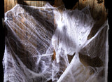 Halloween Spider Web – 200 Sq. Ft. Stretchable Cobweb Decoration for Indoor & Outdoor Spooky Displays