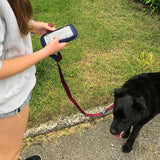 Soggy Doggy Waterproof Dog Leash with Touchscreen Phone Pocket – 5ft Nylon Lead (Blue/Navy)