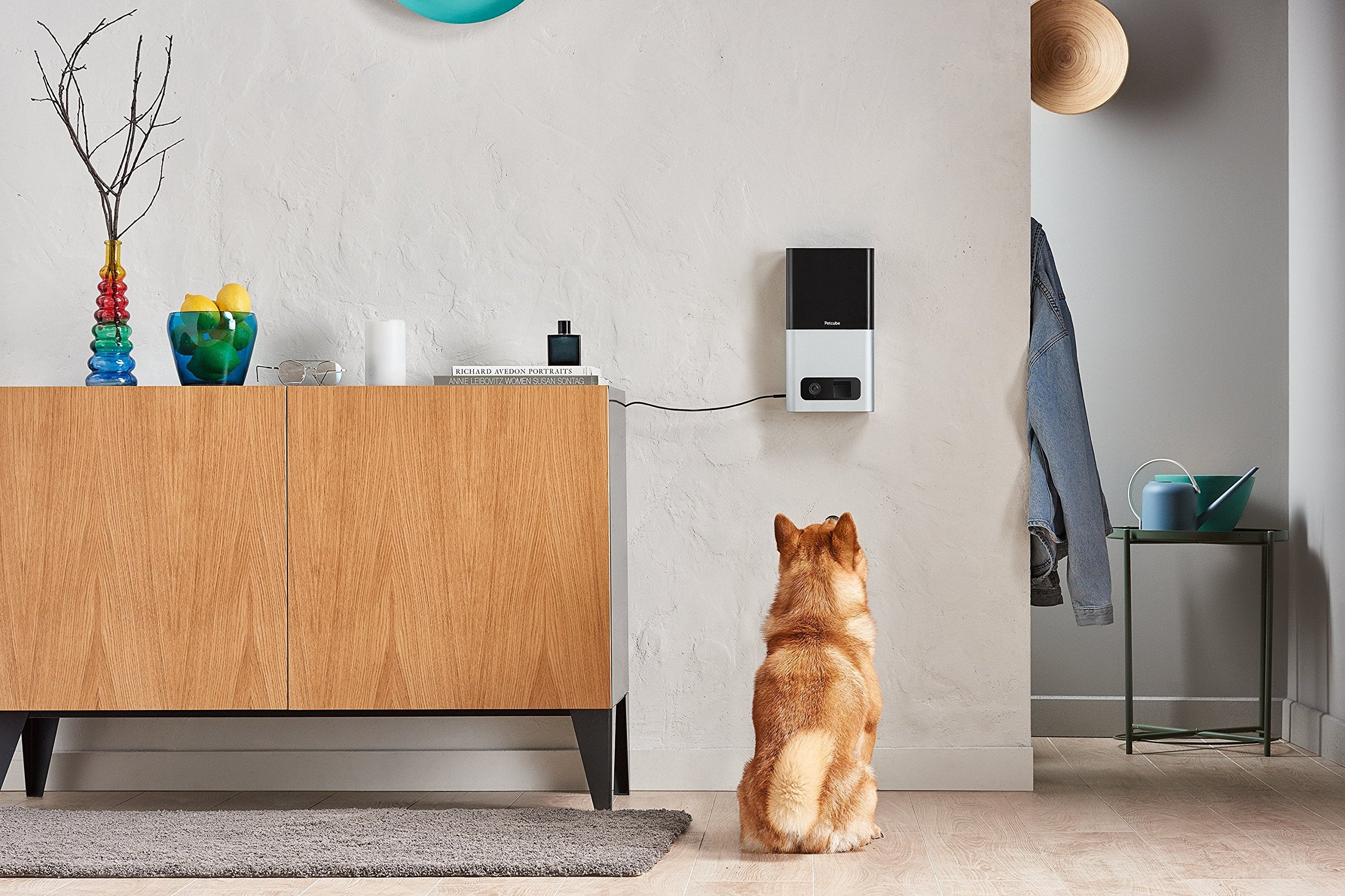 Petcube Bites Wi-Fi Pet Camera with Treat Dispenser – 1080p HD, Alexa Compatible (Matte Silver)