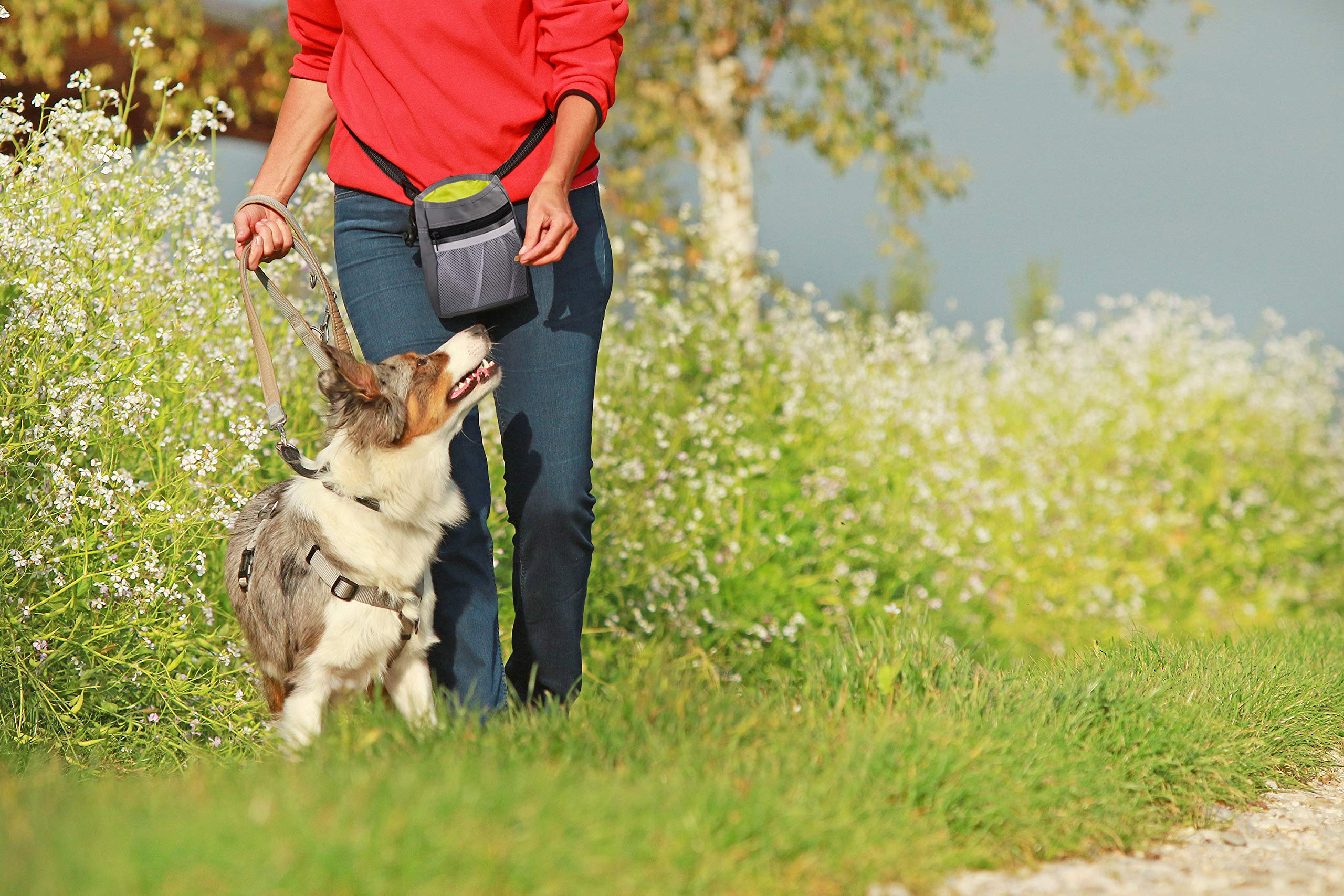 Waterproof Dog Treat Training Pouch with Adjustable Waist Belt, Poop Bag Dispenser, and Multi-Pocket Storage for Walks and Obedience Training