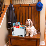 Standard Duty File Storage Boxes with Lids (12-Pack) – Letter & Legal Document Organizer for Home & Office