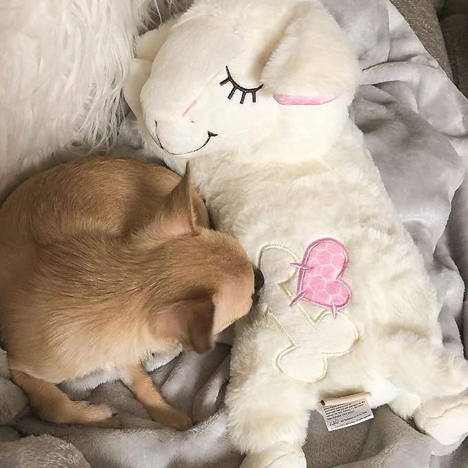 Pet Anti-Anxiety Sleeping Toy – Heartbeat Apparatus for Dogs & Cats, Comforting Plush Toy for Calming & Better Sleep