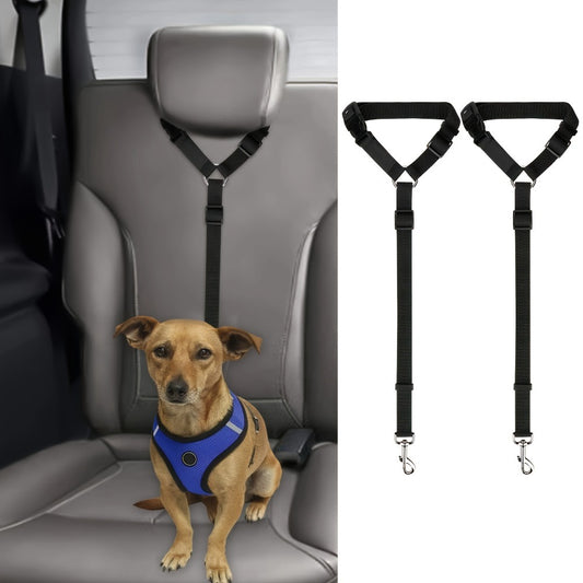 2-Piece Dog Leash Set – Durable Wear-Resistant & Skin-Friendly Material, Perfect for Walking, Training & Travel