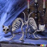 2PCS Halloween Skeleton Cats – Realistic Weatherproof Outdoor Decorations for Yard, Lawn & Patio
