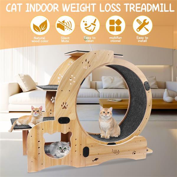 6-in-1 Cat Exercise Wheel – Upgraded Indoor Sports Wheel Device for Active & Healthy Cats