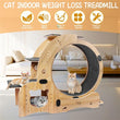 6-in-1 Cat Exercise Wheel – Upgraded Indoor Sports Wheel Device for Active & Healthy Cats