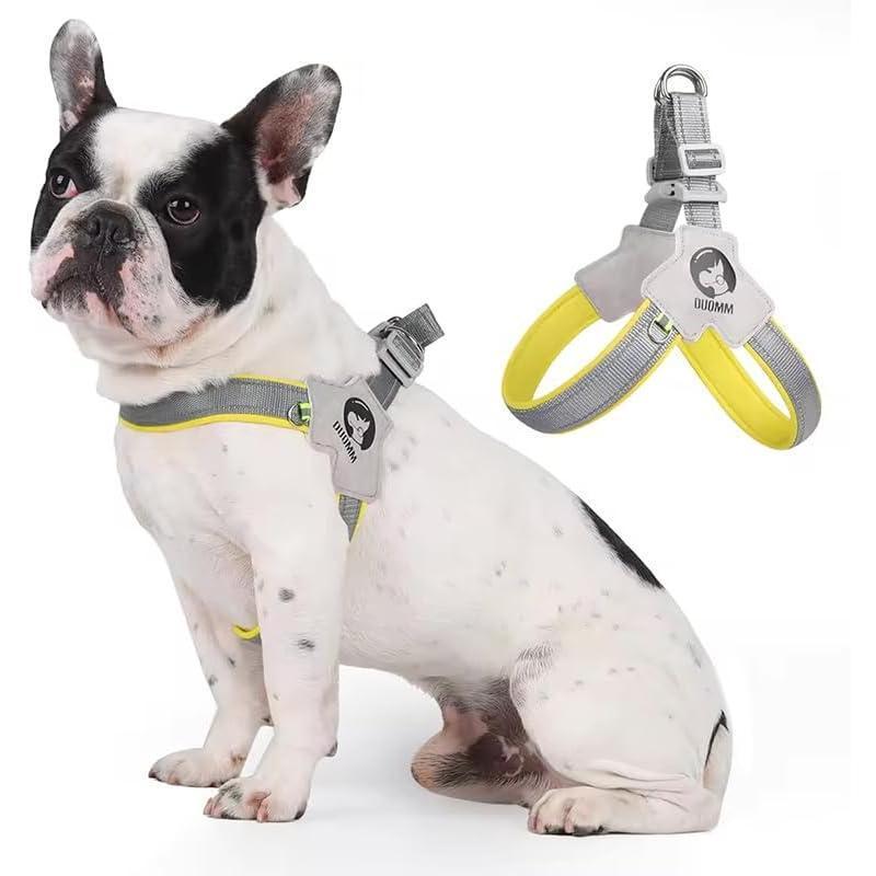 Pet Dog & Cat Harness with Leash Set – Adjustable Reflective Training Harness, No-Pull & No-Choke Design with Leather Leash