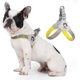 Pet Dog & Cat Harness with Leash Set – Adjustable Reflective Training Harness, No-Pull & No-Choke Design with Leather Leash