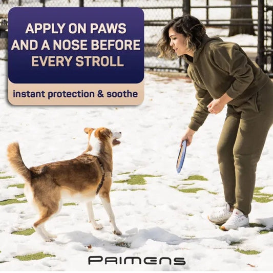 Natural Dog Paw Balm – Moisturizing & Healing Paw Protection for Dogs, Organic Balm for Cracked Pads & Dry Noses