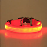 LED Pet Safety Halo Collar – Rechargeable Light-Up Dog & Cat Collar for Night Walks & Outdoor Visibility