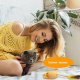 Interactive Cat Toy Mouse – USB Rechargeable Moving Mouse with LED Lights, Chirping Sound & Feather Tail for Indoor Cats