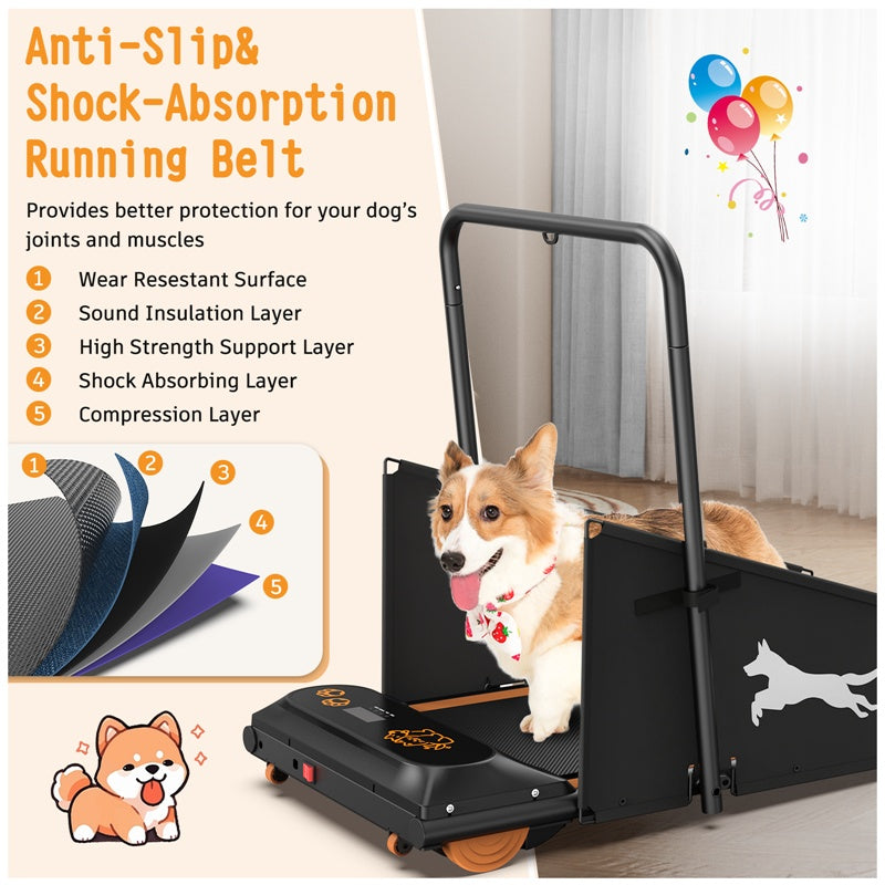 Dog Treadmill – Indoor Exercise & Training Machine for Small and Medium Dogs | DogPacer Running & Walking Fitness Equipment