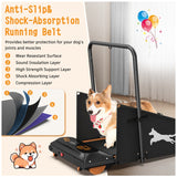 Dog Treadmill – Indoor Exercise & Training Machine for Small and Medium Dogs | DogPacer Running & Walking Fitness Equipment