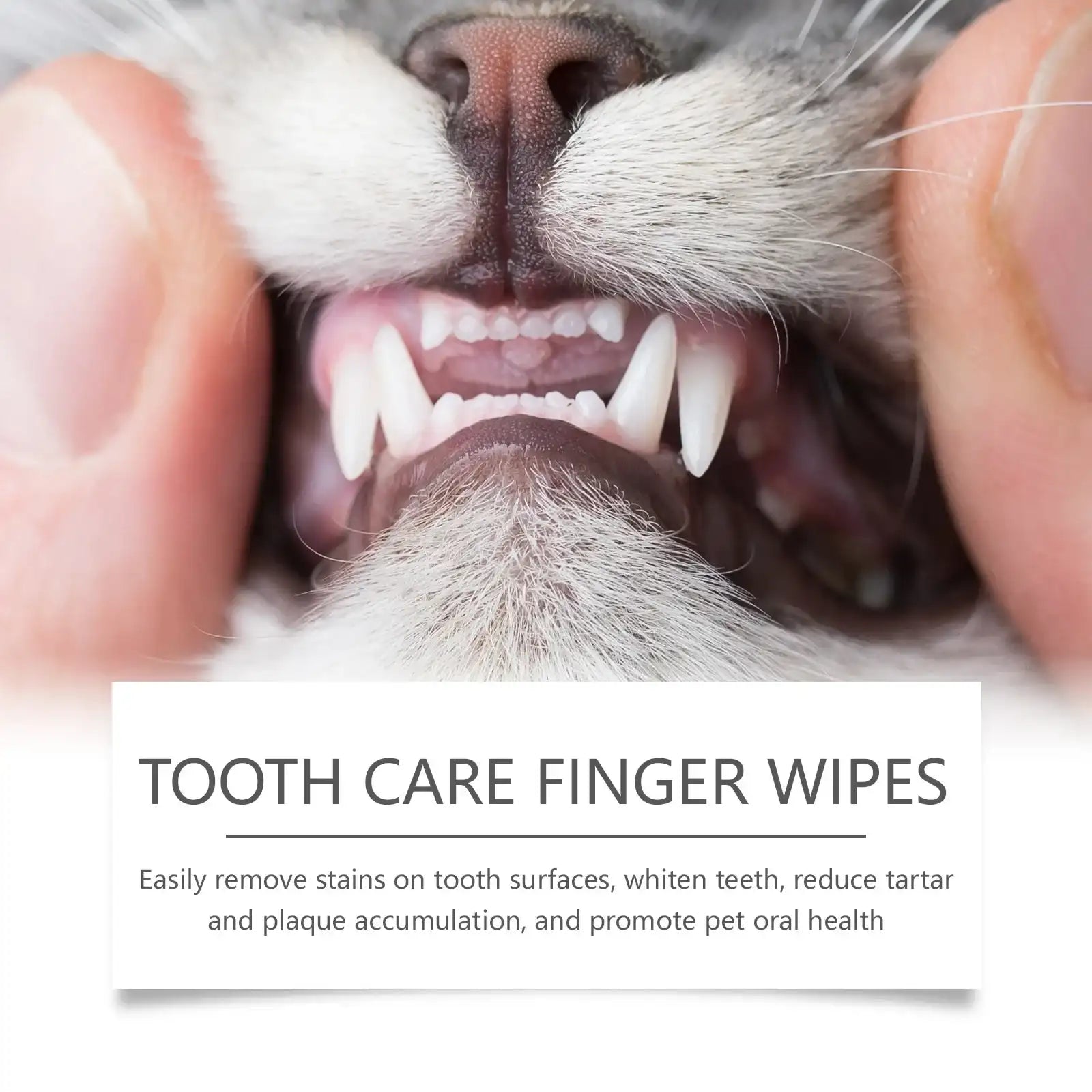 50-Piece Pet Dental Care Finger Wipes – Gentle Oral Care for Dogs & Cats