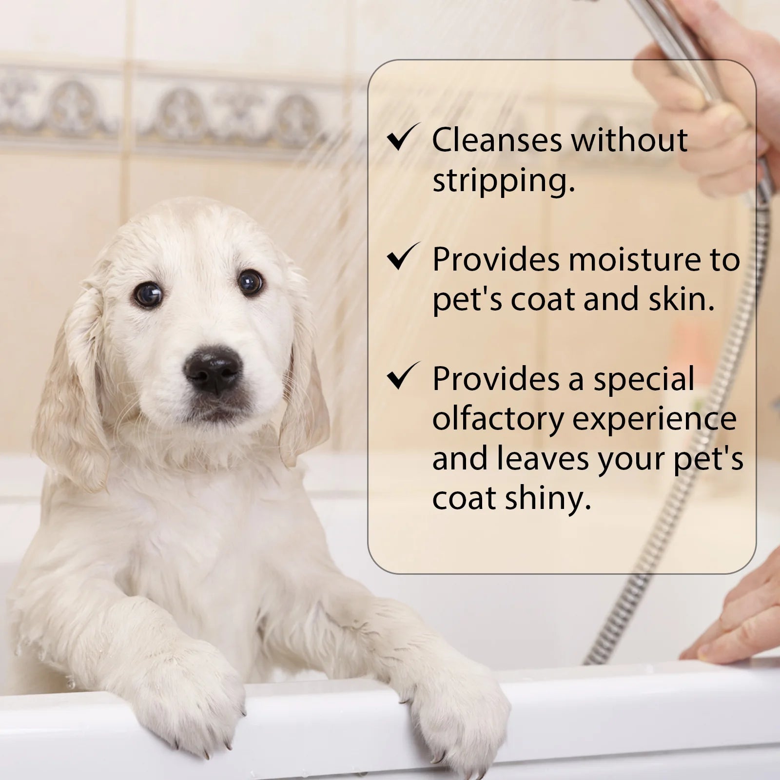 Yegbong Pet Hair Cleaning Shampoo – Stain & Mite Removal, Anti-Itch Deodorizing Shampoo for Cats & Dogs, Smooth Coat Care