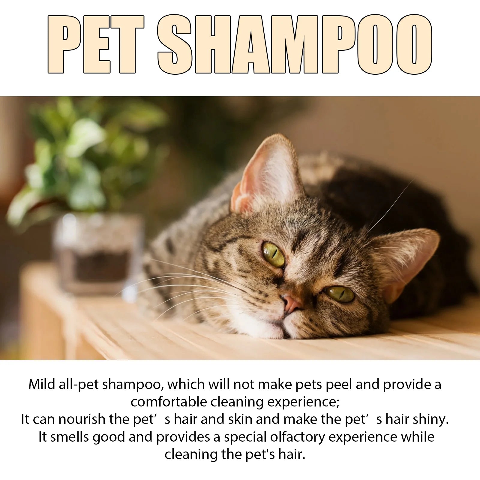 Yegbong Pet Hair Cleaning Shampoo – Stain & Mite Removal, Anti-Itch Deodorizing Shampoo for Cats & Dogs, Smooth Coat Care