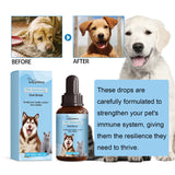 Yegbong Pet Immune Drops – 50ml Oral Supplement for Cats & Dogs, Balanced Nutrition, Stomach Health & Immunity Support