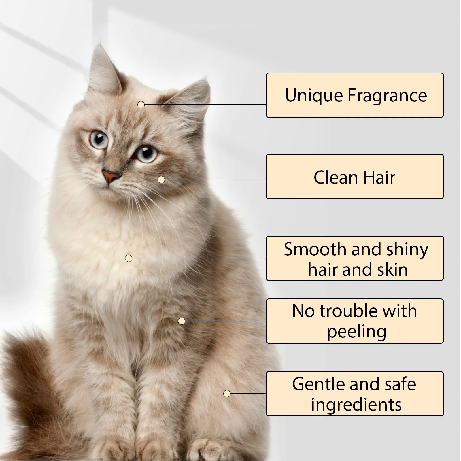Yegbong Pet Hair Cleaning Shampoo – Stain & Mite Removal, Anti-Itch Deodorizing Shampoo for Cats & Dogs, Smooth Coat Care