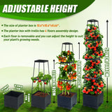 2-Piece Self-Watering Tomato Planter Box with Trellis & Climbing Cage – Indoor / Outdoor Garden Grow Kit 🍅🌿