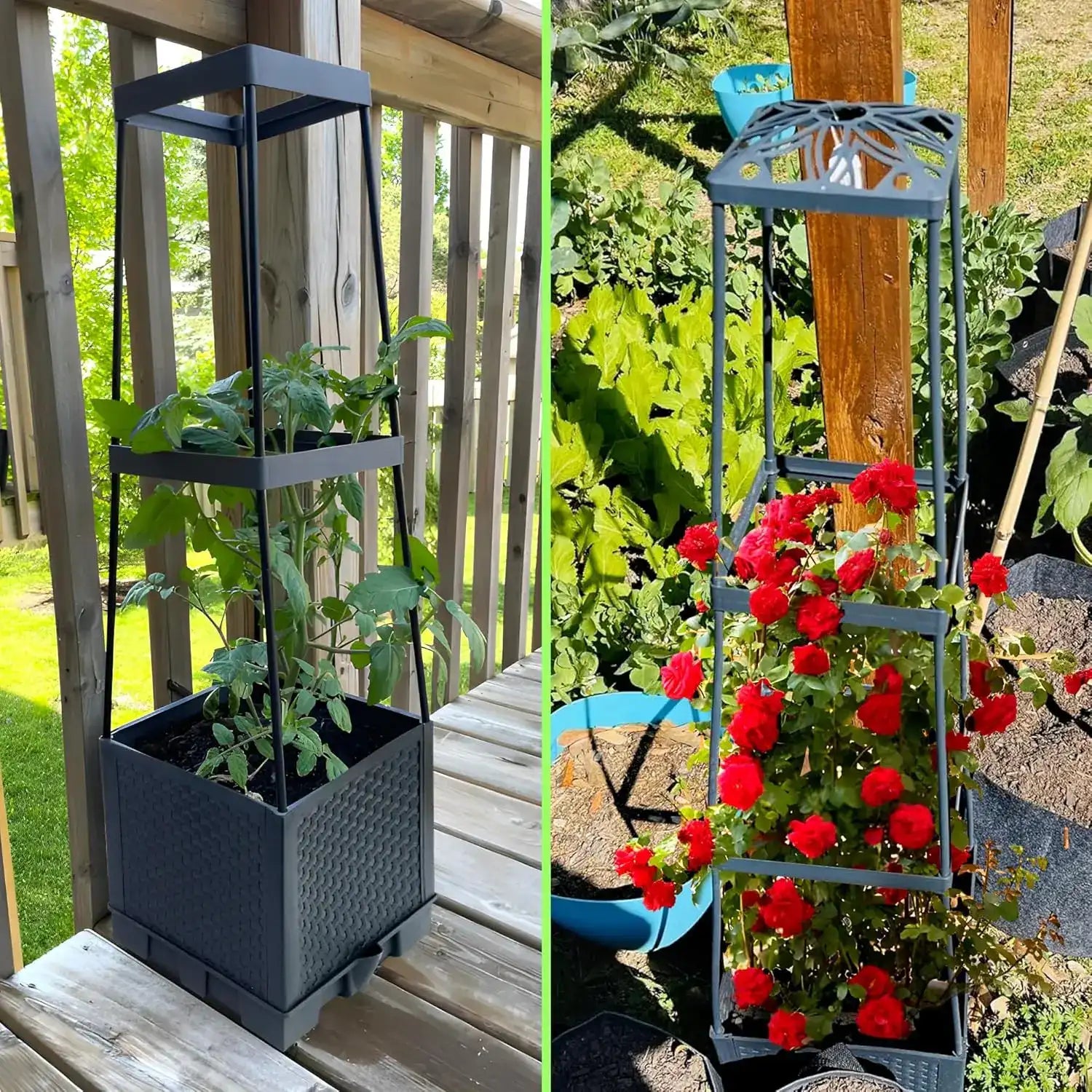 2-Piece Self-Watering Tomato Planter Box with Trellis & Climbing Cage – Indoor / Outdoor Garden Grow Kit 🍅🌿