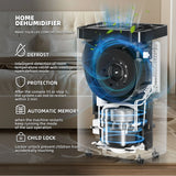 AIRPLUS 19-Pint (DOE) / 70-Pint Max Capacity Dehumidifier – Auto Shut-Off, Auto/Manual Drain Option for Home Humidity Control