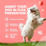 Dog Flea & Tick Treatment Chews – Natural Soft Chews for Flea & Tick Prevention, Immune Support & Year-Round Protection