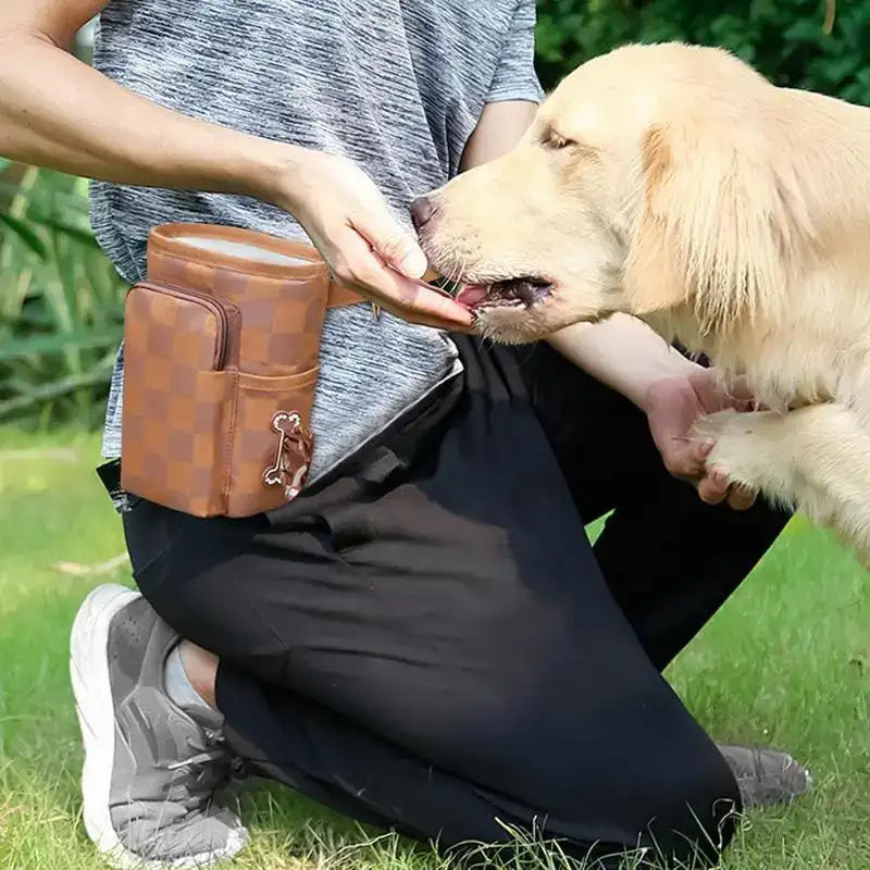 Magnetic Buckle Dog Treat Training Pouch – Waist Bag for Outdoor Training & Snack Rewards
