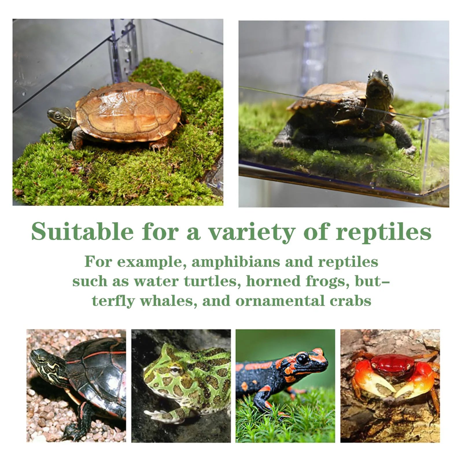 Hanging Turtle Basking Platform – Aquatic Reptile Ramp Dock with Adjustable Telescopic Clasp for Turtle Tanks