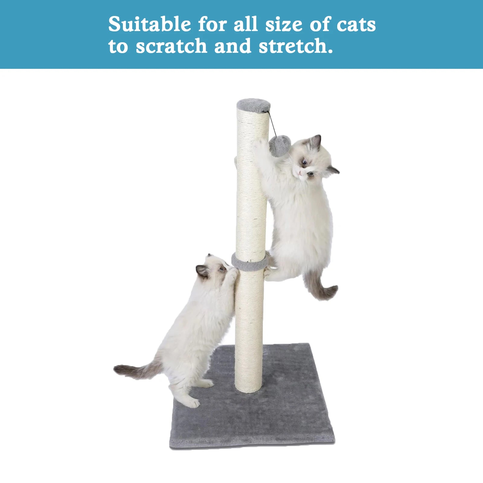 Tall Cat Scratching Post – Premium Sisal Vertical Scratcher with Dangling Ball Toy for Indoor Cats & Kittens, Durable Furniture Saver