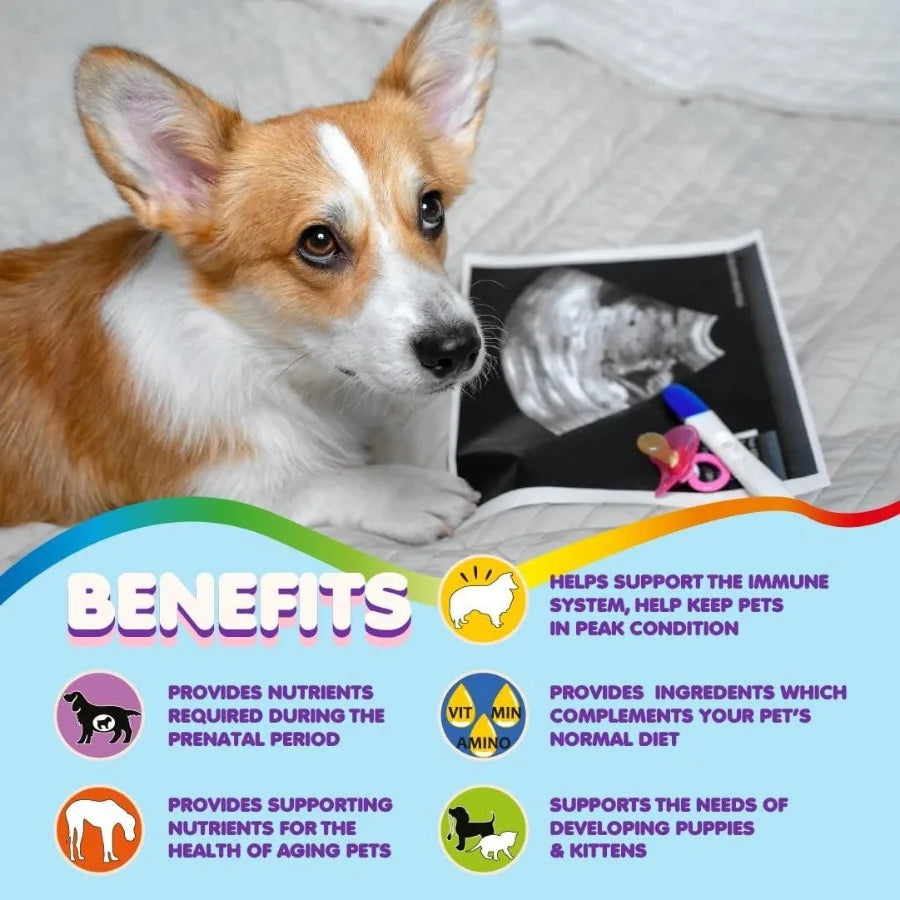 https://www.pulingo.com/products/prenatal-dog-vitamins-multivitamin-for-dogs-and-cats-with-folic-acid-minerals-and-amino-acids-ideal-for-pregnant-breast-feeding?utm_source=copyToPasteBoard&utm_medium=product-links&utm_content=web