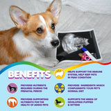 https://www.pulingo.com/products/prenatal-dog-vitamins-multivitamin-for-dogs-and-cats-with-folic-acid-minerals-and-amino-acids-ideal-for-pregnant-breast-feeding?utm_source=copyToPasteBoard&utm_medium=product-links&utm_content=web