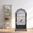 https://www.pulingo.com/products/parakeet-36-9-inch-wrought-iron-cage-pet-flight-cages-with-4-universal-wheels-3-standing-poles-rolg-stand-bird-playground?utm_source=copyToPasteBoard&utm_medium=product-links&utm_content=web