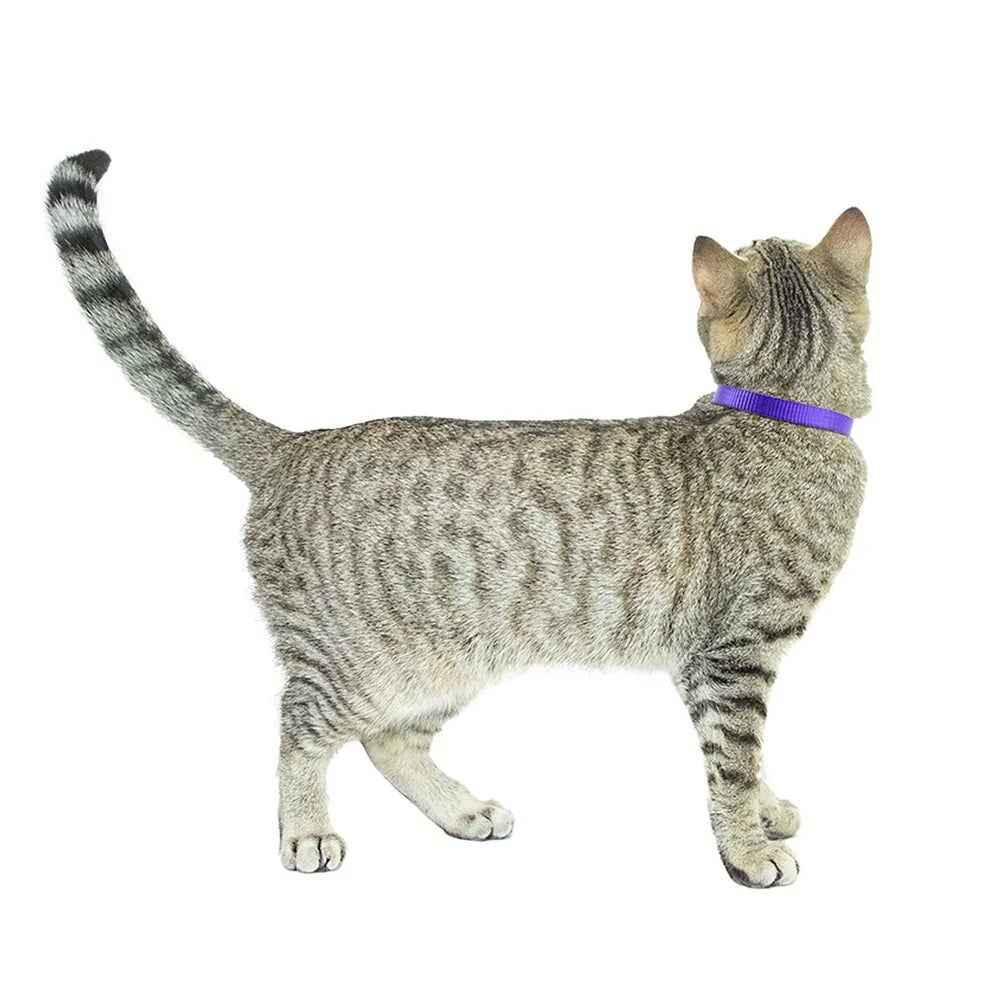 2-Pack Adjustable Breakaway Cat Collars with Bell – Rainbow Stripe & Solid Purple Nylon Collars with ID Tag Ring for Cats & Kittens
