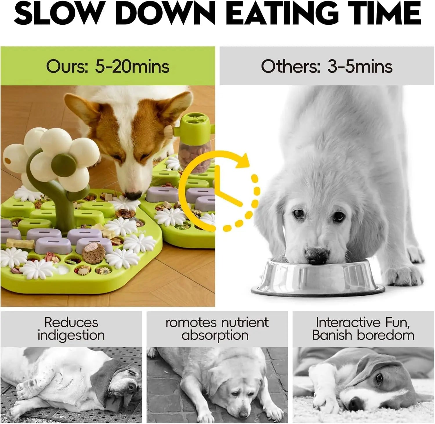 Mewoofun Level 4 Dog Puzzle Toy – Advanced IQ Training & Slow Feeder for All Breeds