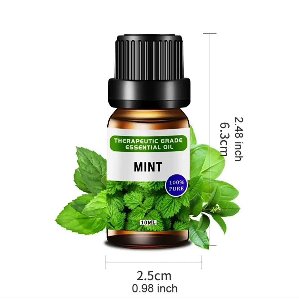 12-Pack Essential Oils Set – 10 mL Each, 12 Fragrances for Diffuser & Aromatherapy Home Relaxation