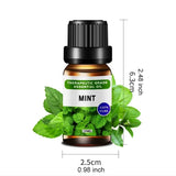 12-Pack Essential Oils Set – 10 mL Each, 12 Fragrances for Diffuser & Aromatherapy Home Relaxation