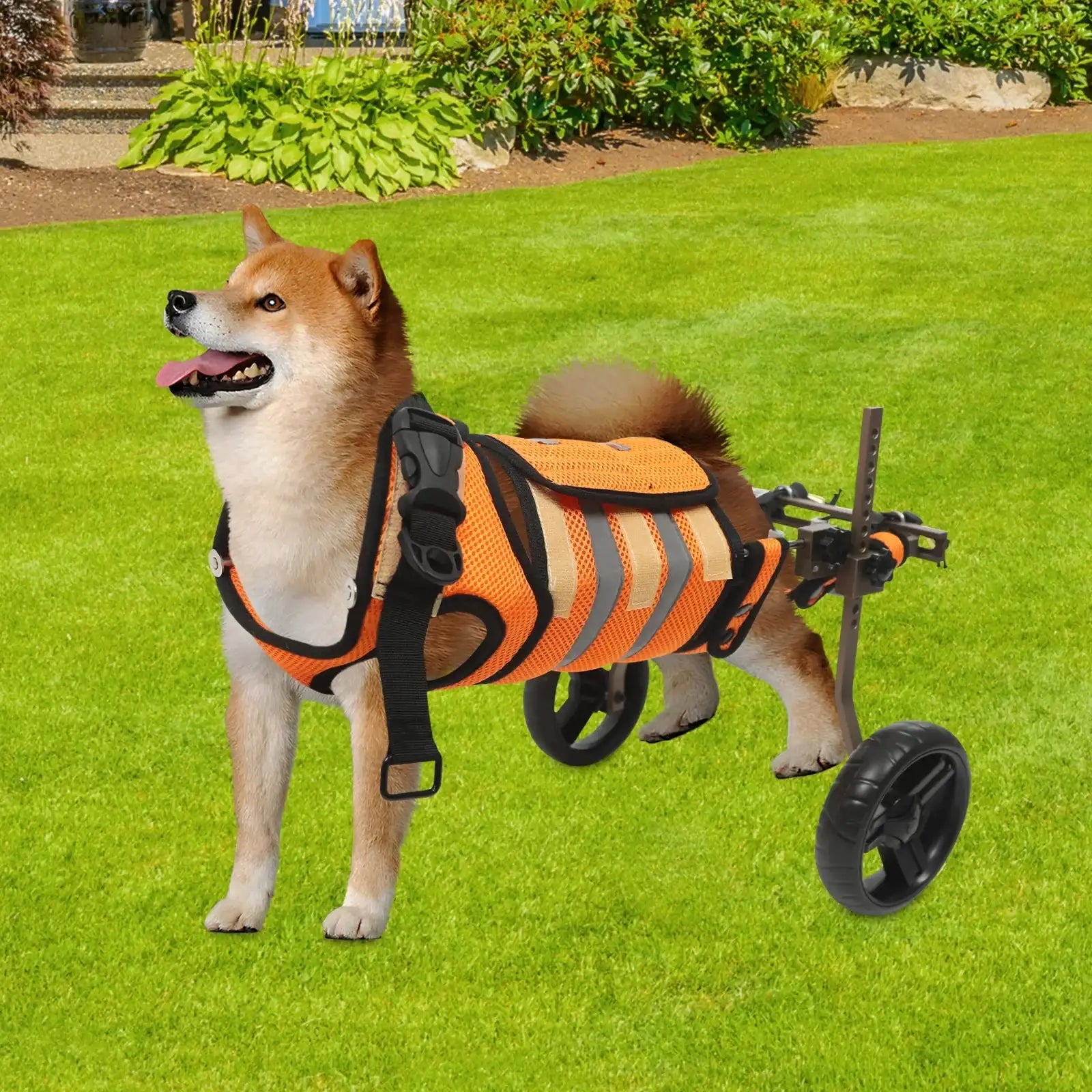 Adjustable Back-Leg Pet Wheelchair – Lightweight Mobility Cart for Dogs & Cats 🐾