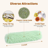 Cat Pillow Toy with Catnip – Soft & Durable Kicker Toy with Crinkle Sound, Interactive Indoor Exercise for Kittens & Cats