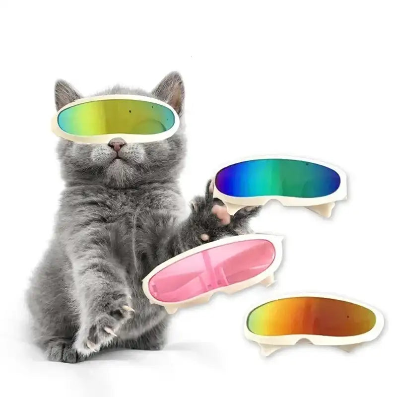 Ultra-Stylish Pet Goggles for Cats & Small Dogs – Fun Cosplay Sunglasses & Photo Prop Accessory