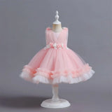 Sweet Princess Floral Lace Cake Dress – Girls First Birthday & Party Gown