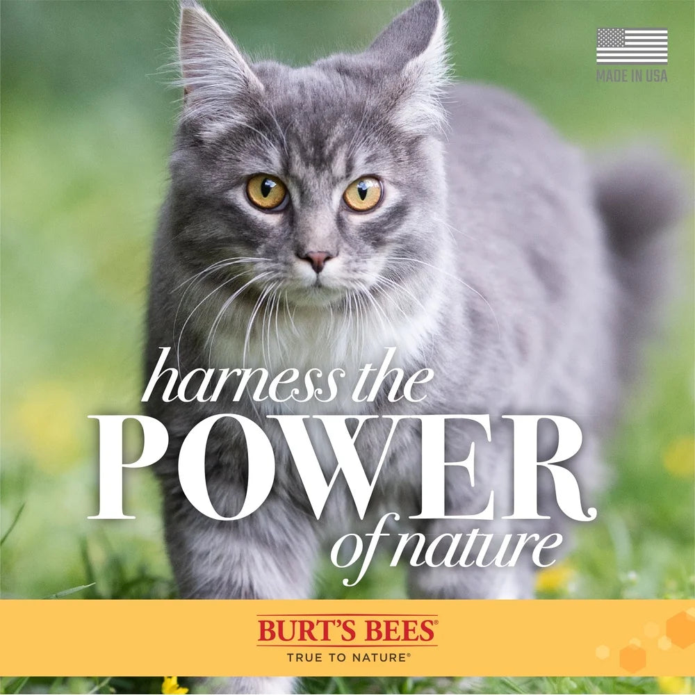 Natural Waterless Dry Shampoo for Cats & Kittens – Shea Butter & Honey Grooming Spray, PH-Balanced Gentle Cleansing Formula