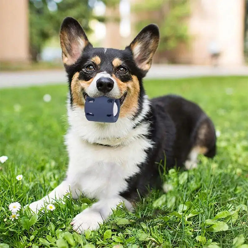 Puppy Teething Chew Ball – Interactive Rubber Puzzle Toy for Small Dogs (Heavy-Duty Tennis Ball Cup)