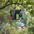 Large Capacity Hanging Metal Bird Feeder – Weather-Resistant Mesh Cover with Seed Tray & Squirrel Protection