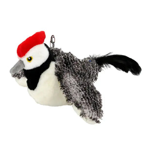Black woodpecker