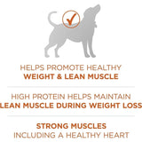 Plus Healthy Weight High-Protein Dog Food – Dry Formula for Weight Management & Energy Support (40 lb Bag)