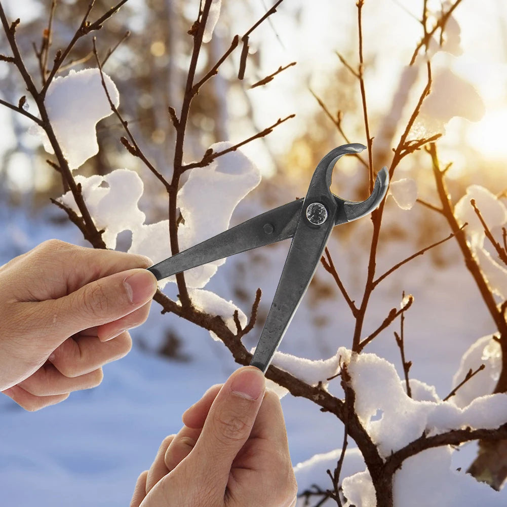 210 mm Bonsai Scissor – Alloy Steel Branch Cutter & Pruning Pliers for Bonsai Trees
