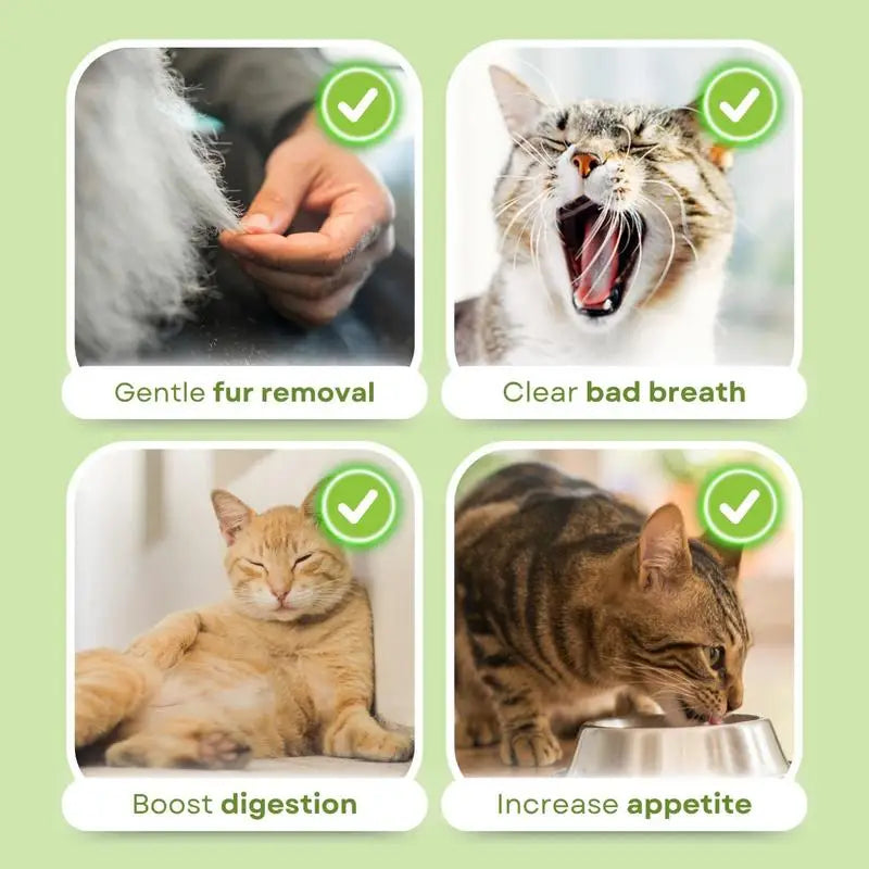 Cat Grass Teeth Cleaning Sticks – Natural Chew Snacks for Kittens & Adult Cats, Dental Health & Hairball Control