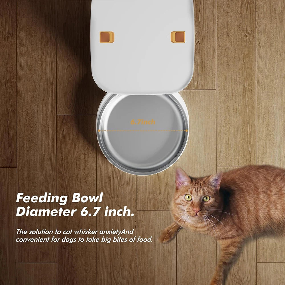 FurPipi Automatic Cat & Dog Feeder – 8L Smart Food Dispenser with Key Control, SUS+ABS Durable Build